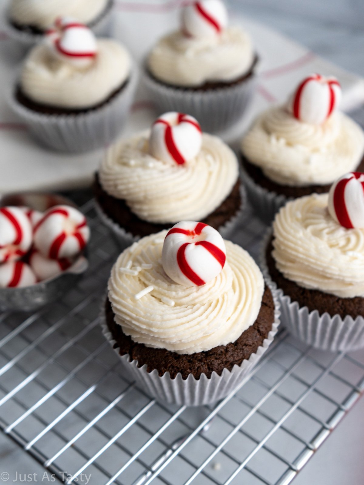 Close-up of a frosted chocolate peppermint cupcake topped with a red and white striped mint.